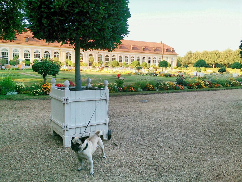 Der Platengarten Ansbach Extérieur photo